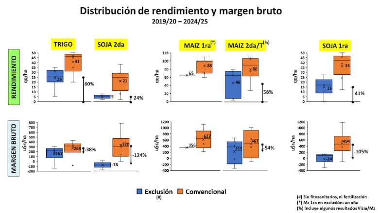 Informe