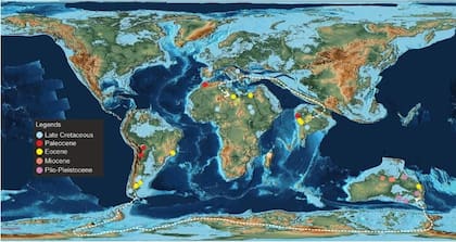 Distribución paleogeográfica de madtsoiidae con taxones de diferentes edades trazados juntos en un mapa simplificado del Eoceno Medio para mostrar sus ocurrencias espacio-temporales globales