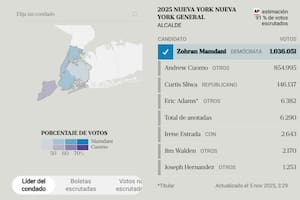 El mapa con los resultados de las elecciones en Nueva York: quién ganó, desde el Bronx hasta Staten Island
