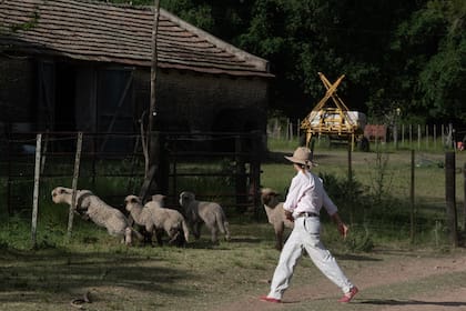 Ana Boracchia en su establecimiento de Exaltación de la Cruz