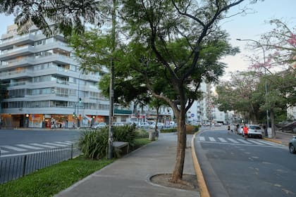 Diversos desarrollos inmobiliarios de los últimos años se concentraron en Parque Centenario, que hoy registra el mayor aumento de publicaciones para alquiler