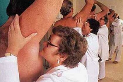 Diversos estudios científicos ayudan a clasificar los tipos de olores