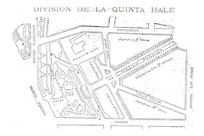 División de la Quinta Hale