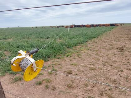 División de un lote con alambrado eléctrico y carretel
