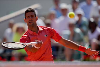 Djokovic quiere seguir aumentando su cosecha de torneos de Grand Slam