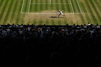 Djokovic ya es uno de los dioses de Wimbledon: ganó siete trofeos individuales, sólo uno menos que Federer.  