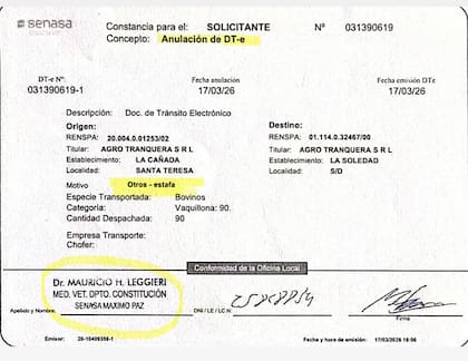 Documento de Senasa que deja constancia de la anulación de un DT-e por 90 vaquillonas, también con motivo “otros – estafa”, correspondiente al 17 de marzo de 2026.