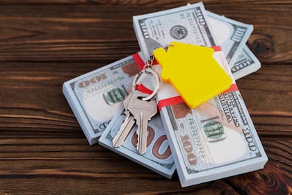 El Ministro de Desregulación y Transformación del Estado, Federico Sturzenegger, comparó la inversión con un alquiler