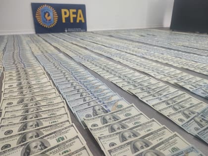 Dólares secuestrados en los allanamientos hechos por la Policía Federal Argentina