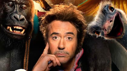 Dolittle (2020) fue un intento fallido de entrar en una nueva saga post Marvel. La película no fue lo que él ni su esposa, la productora Susan Downey, esperaban.