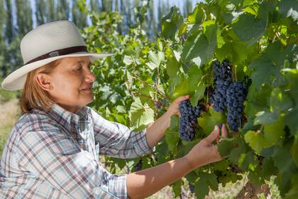Dolli en el viñedo; los vinos son uno de los productos que forman parte destacada en su cocina