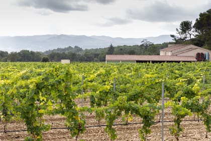 Domaine de Fontenille es un hotel, restaurante y bodega.