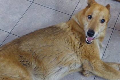 Dominga llegó en la primera gestión de Julián Domínguez a Agricultura