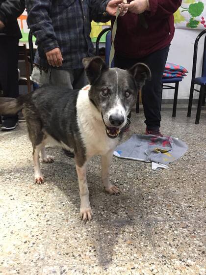 Domingo es un "camperito" ciego que fue a recibir las mantas en nombre de sus compañeros