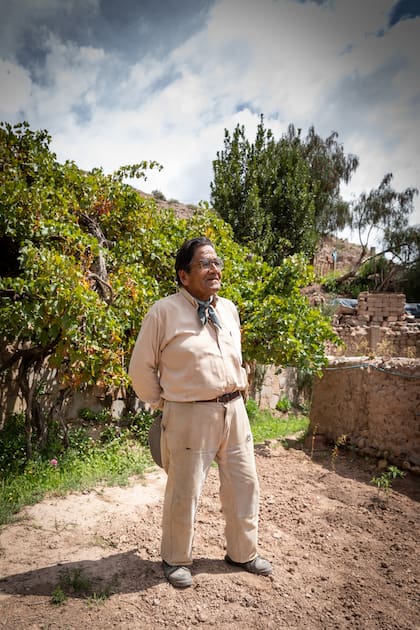 Don Egidio Sajama, uno de los pequeños parceleros que abastecen a la bodega El Bayeh.