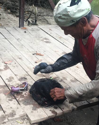 Don Hilario, cangrejero hace 30 años