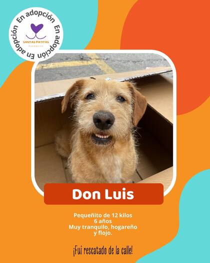 Don Luis se encuentra desde hace un año esperando una familia que lo adopte