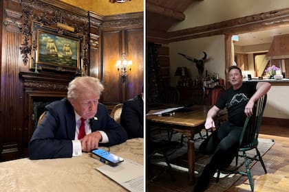 Donald Trump elogió a Elon Musk y dijo que no lo descarta para ser parte del gobierno; por su parte, el empresario eligió un puesto ficticio en el gabinete