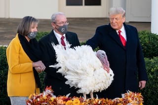 Cuál es el origen del indulto o perdón del pavo que se celebra en Thanksgiving en EE.UU.