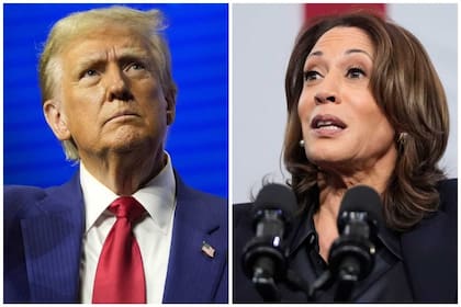 Donald Trump y Kamala Harris son los candidatos presidenciales de estas elecciones 2024 en EE.UU.
