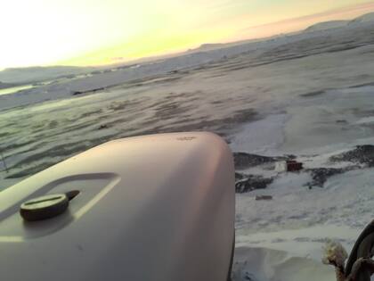 Donaron 13 cámaras para las bases argentinas en la Antártida, que permiten hacer un seguimiento permanente de la fauna local