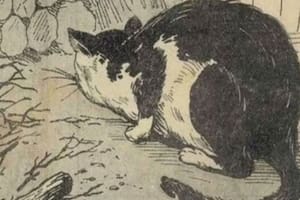 ¿Dónde está el ratón? El acertijo visual imposible que ni los expertos resuelven