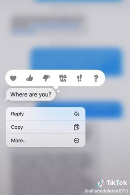"¿Dónde estás?", el mensaje de su jefe que descubrió la mentira. Fuente: TikTok