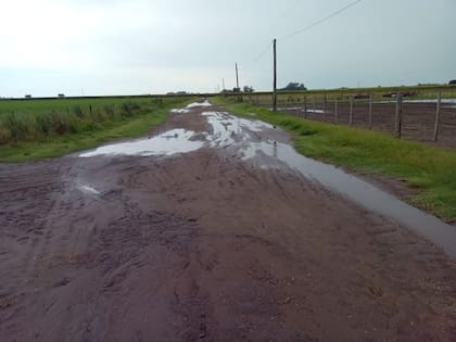 Donde llovió, como en Junín, los milímetros ayudan a sostener los cultivos y a frenar nuevos recortes de rinde