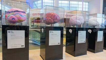 ¿Dónde radica la genialidad humana?