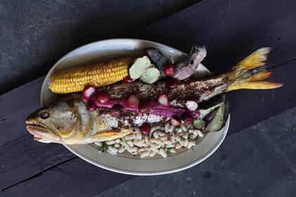 Dorado, pescado de río