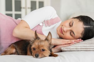 Las ventajas y riesgos de dormir con un perro en la cama
