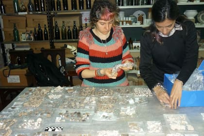 Dos arqueólogas trabajan sobre las muestras encontradas