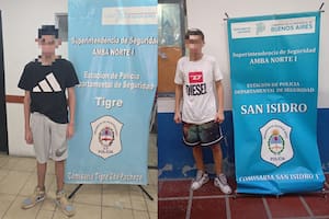 Detuvieron a un menor por el robo a la "abuela influencer" y a otro que se hacía pasar por repartidor