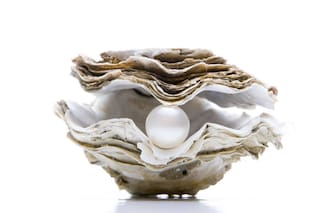 Palermo tiene su perla natural: a dos décadas de apertura, el restó Crizia lleva las ostras a otro nivel