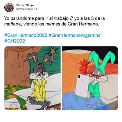 Dos dibujos, múltiples textos: el arte del meme en acción