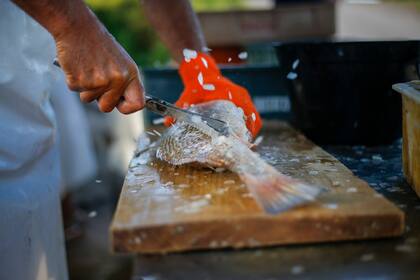 Dos hojas de una sierra carnicera, unidas a un mango de metal, la herramienta casera que utiliza Hahn para descamar una corvina blanca