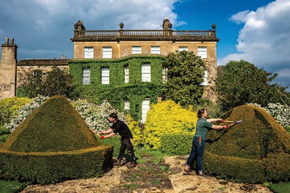 Dos jardineros trabajan con tijeras de podar los topiarios de Highgrove, la residencia personal de los reyes Carlos y Camilla (que se ve al fondo). La imagen es de mayo del año pasado, horas antes de que los jardines se abrieran al público para celebrar el Día Mundial del Topiario.