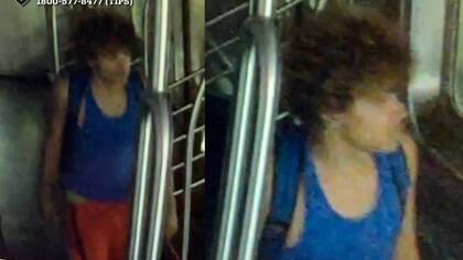 Dos jóvenes robaron un vagón del metro en Nueva York: todavía no se identificó la identidad del hombre