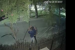 Robo insólito: ladrones cortaban cables y uno escapó escondiéndose detrás de un árbol