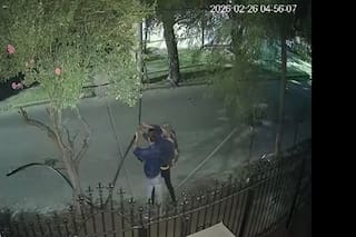 Robo insólito: ladrones cortaban cables y uno escapó escondiéndose detrás de un árbol