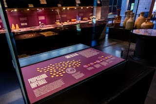 Dos ladrones someten a guardia y roban decenas de monedas de oro antiguas de museo suizo