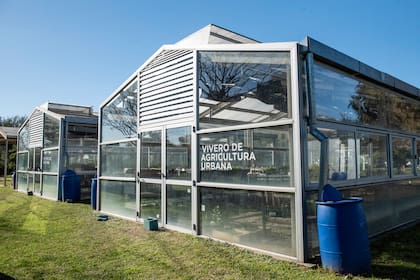 Dos modernos invernáculos con captación de agua de lluvia, uno de agricultura urbana que provee a la huerta y otro de plantas nativas