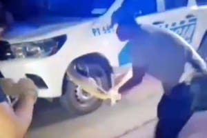Policías debieron luchar contra una serpiente que se había metido detrás de la rueda de una patrulla