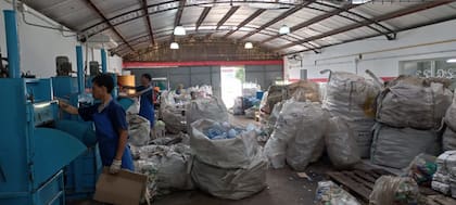 Dos operarios de la planta de separación de residuos del taller protegido Necochea en pleno trabajo de recuperación de basura