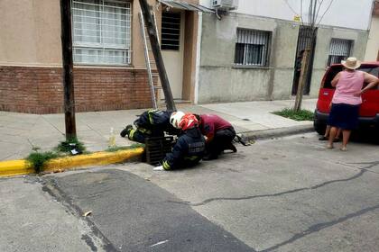 Dos perros cayeron en una alcantarilla en Mataderos, en Chamical y Basualdo