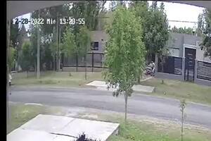 Dos perros pitbull atacó a un hombre en Rosario