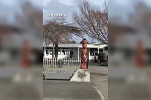Dos tiktokers argentinos mostraron cómo se veía una escuela en Nueva Zelanda y las diferencias con los establecimientos de nuestro país saltaron a la vista