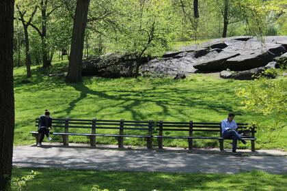 Dos vecinos que sí mantienen el distanciamiento social, en Central Park