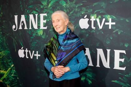 Dra. Jane Goodall en la premiere de "Jane" en el California Science Center, abril 2023, Los Angeles, California