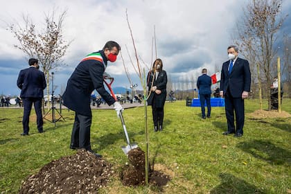 Draghi plantó un árbol como gesto simbólico
